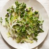 Kohlrabi cabbage carpaccio