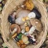 Grocery basket - November