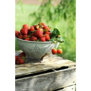 Продуктовый кошик - Червень